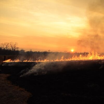 Burn
